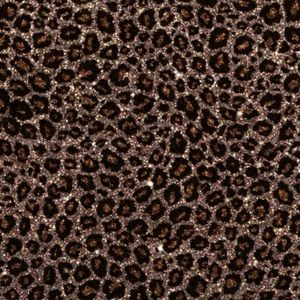 Meet your Posher, Eva